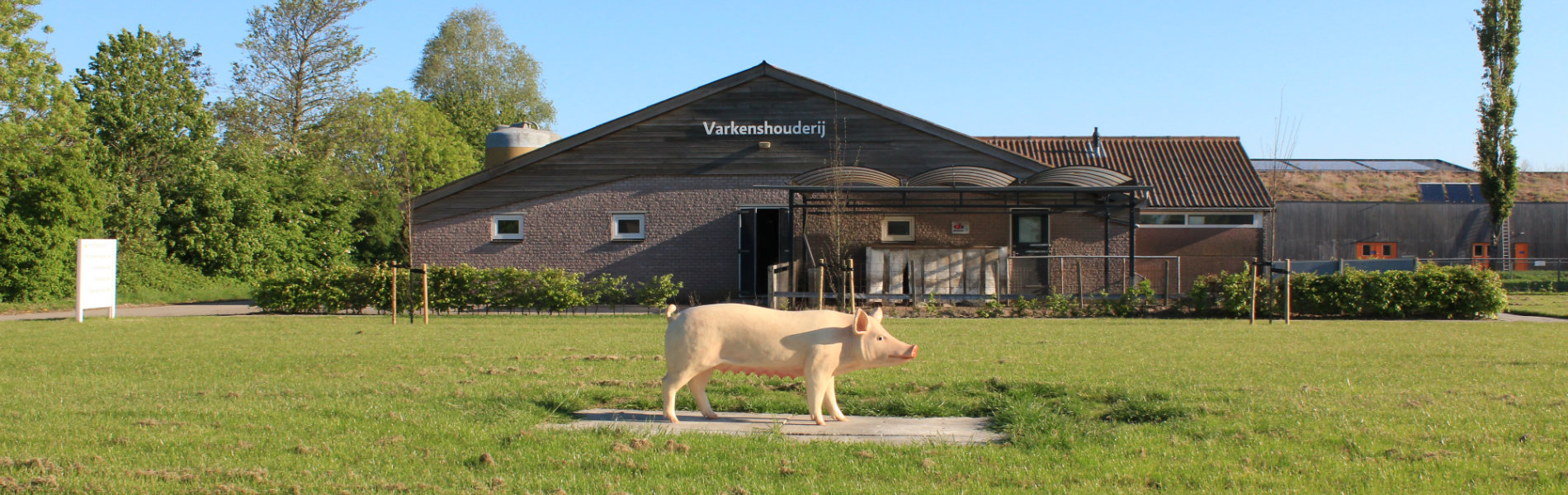 Stal varkenshouderij Aeres Farms