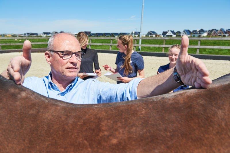 Paard hippisch lessituatie rug 2