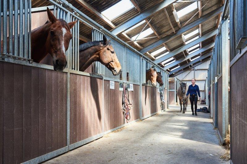 Paard Paardenplaats stallen